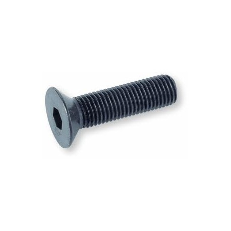 03 Binnenzeskantbout  2 x 10 mm pk 10.9 zwart per stuk