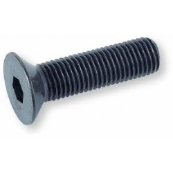 07 Binnenzeskantbout  8 x 20 mm pk 10.9 zwart per stuk