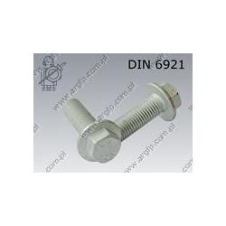 Hex flange bolt  M16×40-10.9 fl Zn  DIN 6921