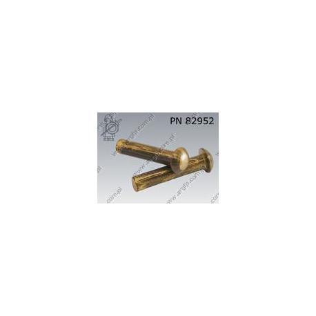 Round head rivet  2× 6-brass   PN 82952