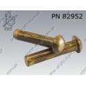 Round head rivet  2× 6-brass   PN 82952 per 1000