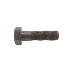 07 Zeskantbout 10 x 1.25 x 45  mm