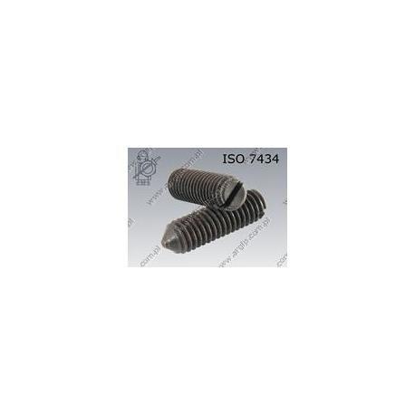 Slotted set screw with cone point  M 4×12-14H   ISO 7434