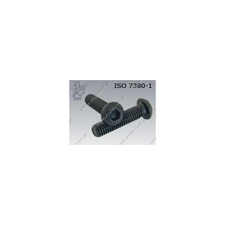 19 Laagbolkop 6 x 40 mm  10.9 verzinkt zwart  per 100