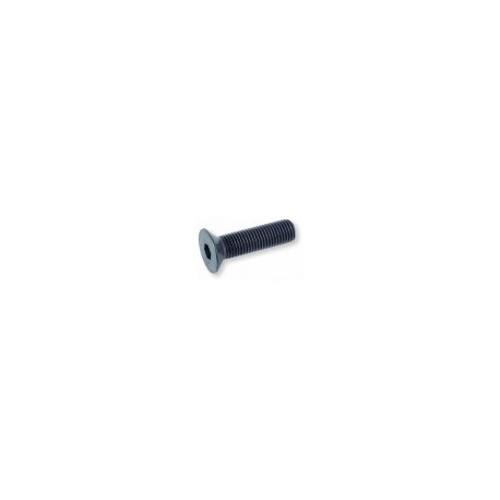 02 inbus 20 x 45 mm pk 10.9 zwart per 25