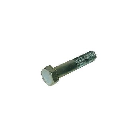 06 zeskantbout M6 x 55 mm A4 per doos